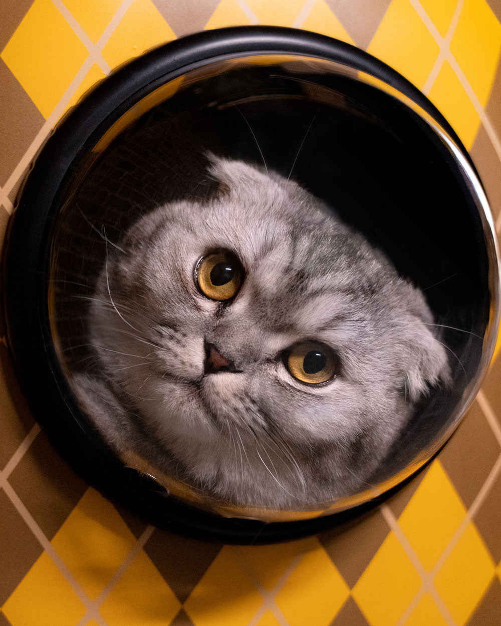 Bremont Watch Company Pty Ltd