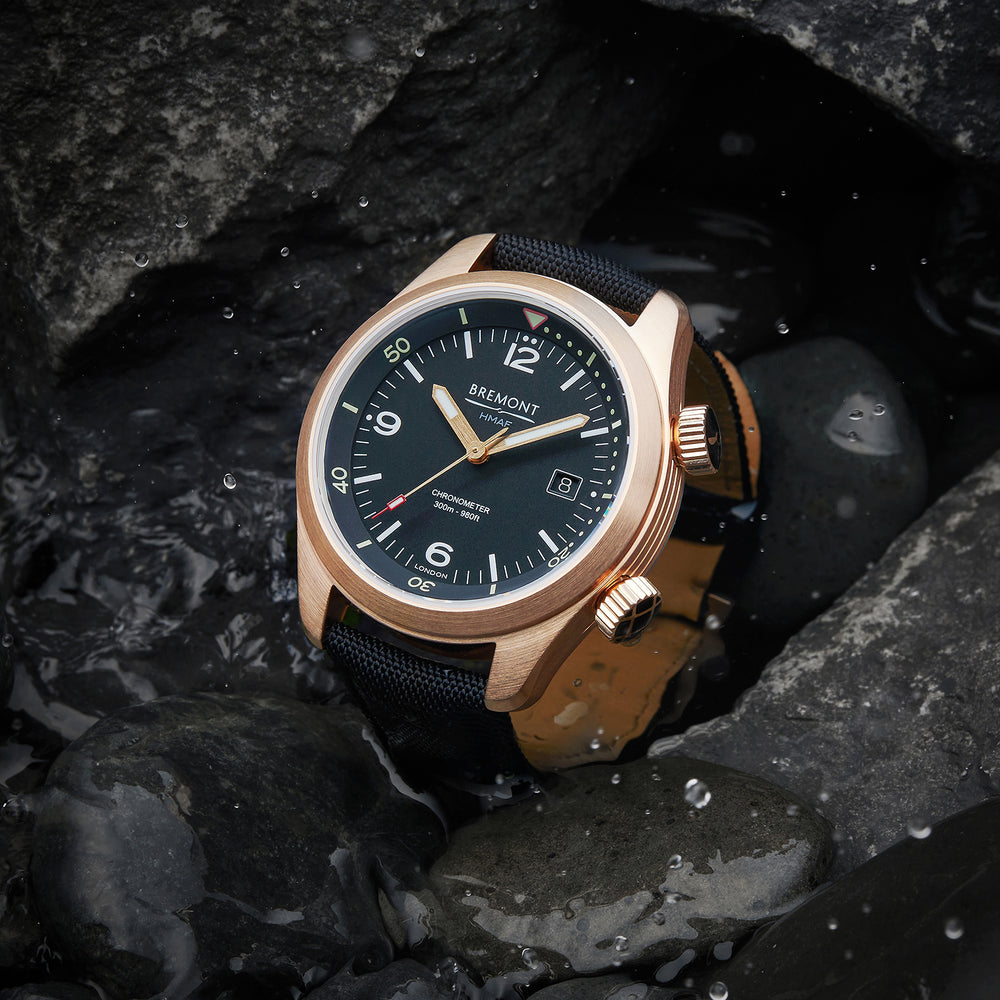 Bronze Argonaut Black